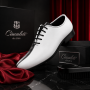 Pantofi barbati de ceremonie din piele naturala doua culori MOD1AN